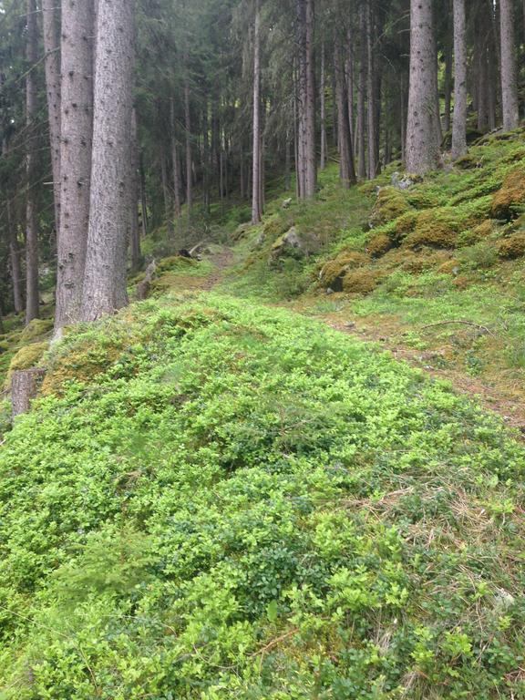 Apart Christa Kaunertal Exteriör bild