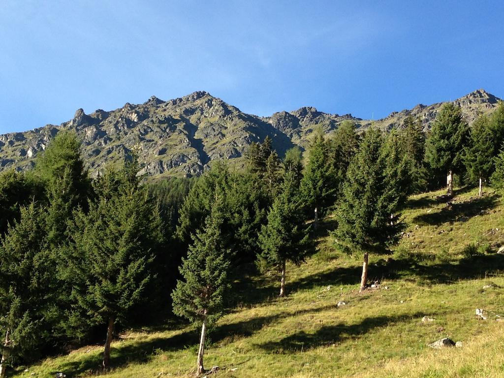 Apart Christa Kaunertal Rum bild